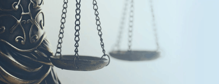 Ensure your domain name is legally protected