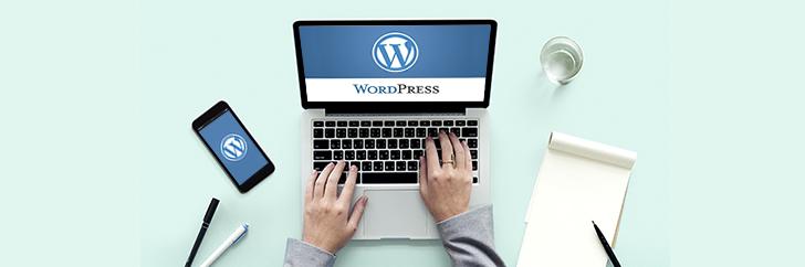 1. Blog and Personal: WordPress