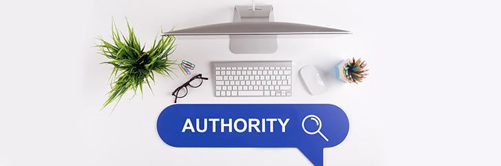 Website authority