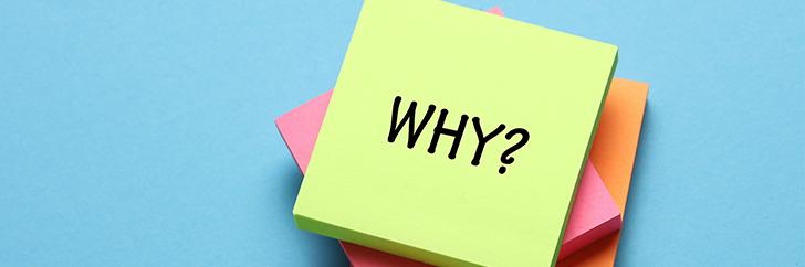 Why do you need SEO?