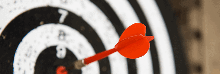 Your project goals and objectives