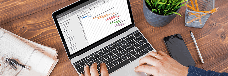 Your project scope and requirements