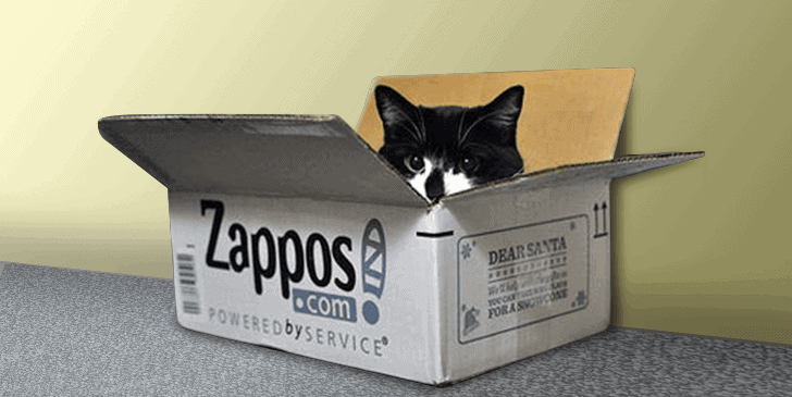 Zappos Leap Year campaign