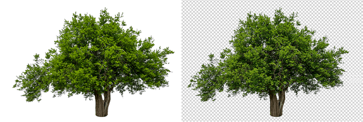 JPG or PNG?