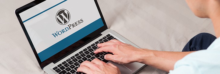 Using WordPress or other CMSes