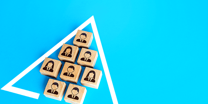 Organisation and Management