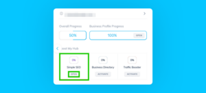 Simple SEO Business Profile Progress